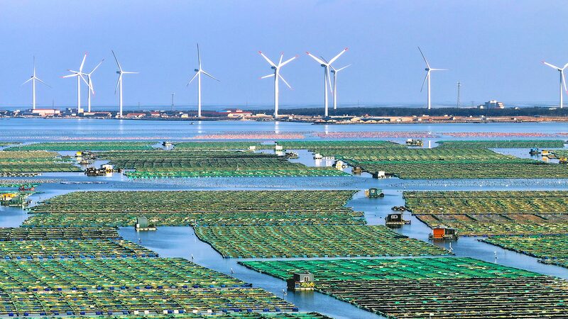 China_Champions_Tech___Green_Growth_at_Davos_2025___