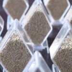 China_Completes_Massive_Crop_Diversity_Survey___