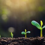 China_Completes_Massive_Soil_Survey__3_11_Million_Samples_Analyzed__