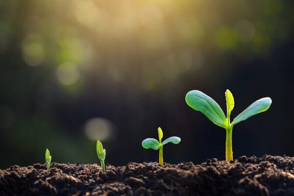 China Completes Massive Soil Survey: 3.11 Million Samples Analyzed 🌱 China_Completes_Massive_Soil_Survey__3_11_Million_Samples_Analyzed__