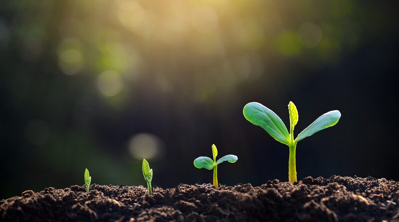China_Completes_Massive_Soil_Survey__3_11_Million_Samples_Analyzed__