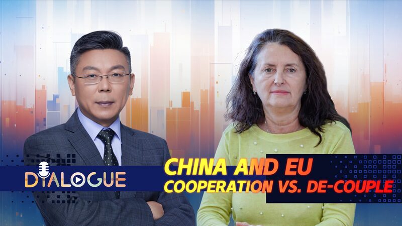 π China-EU Ties in a Shifting World Order __China_EU_Ties_in_a_Shifting_World_Order video poster