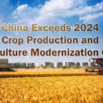 China_Exceeds_2024_Agricultural_Goals__Boosting_Crop_Production___ video poster