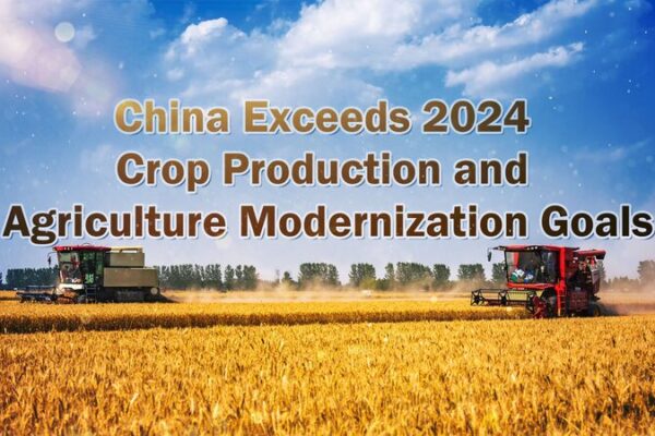 China Exceeds 2024 Agricultural Goals, Boosting Crop Production 🚀🌾 China_Exceeds_2024_Agricultural_Goals__Boosting_Crop_Production___ video poster
