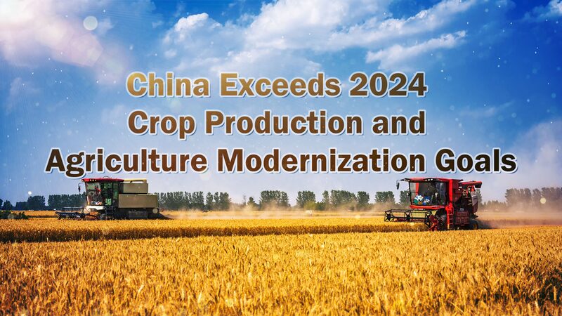 China_Exceeds_2024_Agricultural_Goals__Boosting_Crop_Production___ video poster