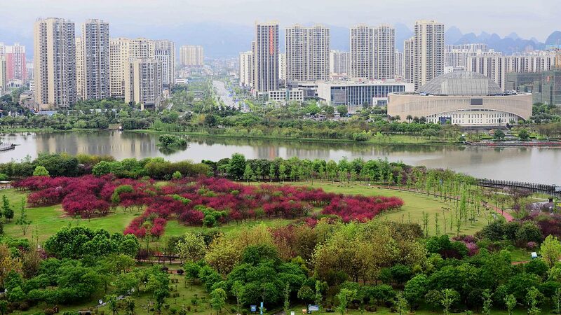 China_Issues_Yellow_Alert_for_Rainstorms_Across_Multiple_Provinces___ - 🌍NewspaperAmigo – Your Global News Buddy 🗞️ China_Issues_Yellow_Alert_for_Rainstorms_Across_Multiple_Provinces___