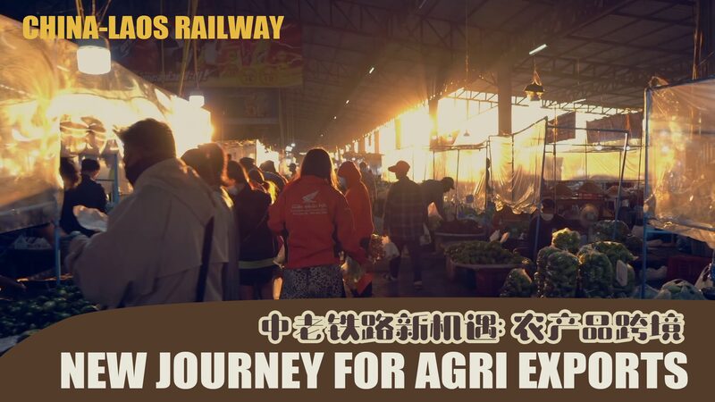China-Laos Railway Fuels Laos’ Agricultural Export Boom 🌾🚂 China_Laos_Railway_Fuels_Laos__Agricultural_Export_Boom___