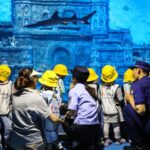 China_Launches_7_Year_Plan_to_Protect_Biodiversity___ video poster