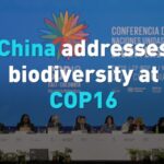 China_Leads_Biodiversity_Efforts_at_COP16_in_Cali___ video poster