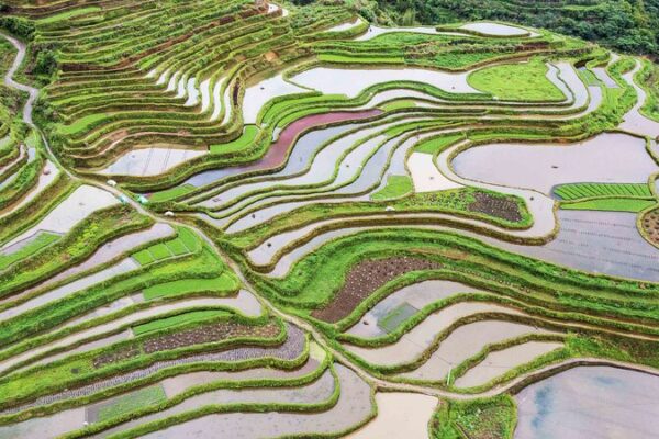 China Marks 34th National Land Day 🌱: Protecting the Planet’s Future China_Marks_34th_National_Land_Day____Protecting_the_Planet_s_Future