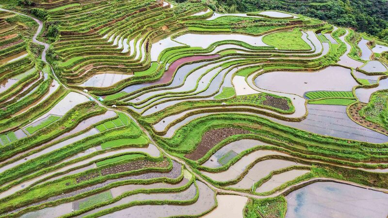 China_Marks_34th_National_Land_Day____Protecting_the_Planet_s_Future