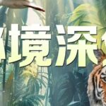China_Media_Group_Unveils_Breathtaking_Nature_Documentary_Series___