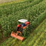 __China_Opens_Market_Wide_for_33_African_Nations_with_Zero_Tariffs_