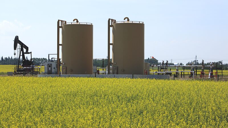 China_Responds_to_Canada_s_Tariff_Hikes_with_New_Investigations____ - 🌍NewspaperAmigo – Your Global News Buddy 🗞️ China_Responds_to_Canada_s_Tariff_Hikes_with_New_Investigations____