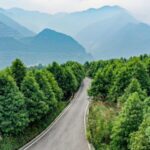 China_Restores_6_7M_Hectares_in_Major_Eco_Push__