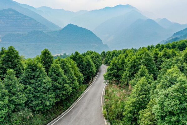 China_Restores_6_7M_Hectares_in_Major_Eco_Push__