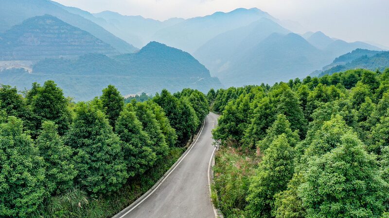 China_Restores_6_7M_Hectares_in_Major_Eco_Push__ - 🌍NewspaperAmigo – Your Global News Buddy 🗞️ China_Restores_6_7M_Hectares_in_Major_Eco_Push__
