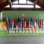 China_Steps_Up_Biodiversity_Efforts___on_Global_Conservation_Day video poster