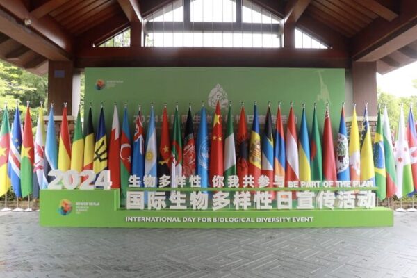 China Steps Up Biodiversity Efforts ๐ฟ on Global Conservation Day China_Steps_Up_Biodiversity_Efforts___on_Global_Conservation_Day video poster