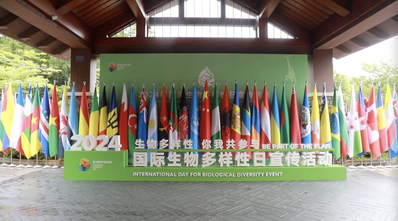China_Steps_Up_Biodiversity_Efforts___on_Global_Conservation_Day_poster - 🌍NewspaperAmigo – Your Global News Buddy 🗞️ China_Steps_Up_Biodiversity_Efforts___on_Global_Conservation_Day video poster