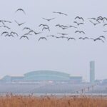China_Takes_Flight__New_Aviation_Safety_Measures_After_Global_Incidents____