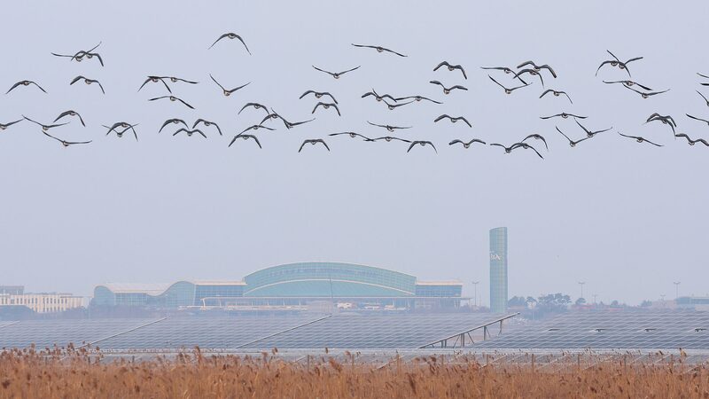 China_Takes_Flight__New_Aviation_Safety_Measures_After_Global_Incidents____ - 🌍NewspaperAmigo – Your Global News Buddy 🗞️ China_Takes_Flight__New_Aviation_Safety_Measures_After_Global_Incidents____