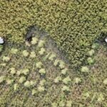 __China_Uganda_Farming_Boom__Agri_Trade_Up_12_8__in_2024_ video poster