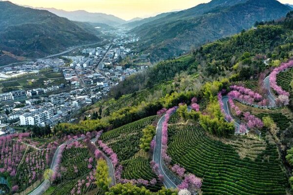 China Unveils 2024 Rural Revitalization Blueprint 🌾🚜 China_Unveils_2024_Rural_Revitalization_Blueprint___