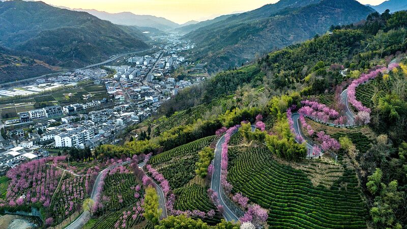 China_Unveils_2024_Rural_Revitalization_Blueprint___