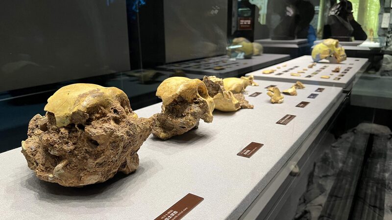 China_Unveils_300_000_Year_Old_Human_Fossils_Rewriting_Evolution_History___