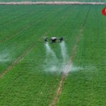 China_Unveils_Bold_Plan_to_Boost_Rural_Development___