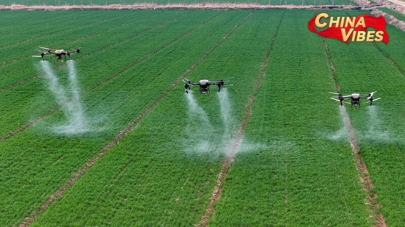 China_Unveils_Bold_Plan_to_Boost_Rural_Development___ - 🌍NewspaperAmigo – Your Global News Buddy 🗞️ China_Unveils_Bold_Plan_to_Boost_Rural_Development___