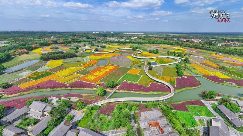 China_Unveils_Groundbreaking_Guidelines_to_Boost_Green_Transition___