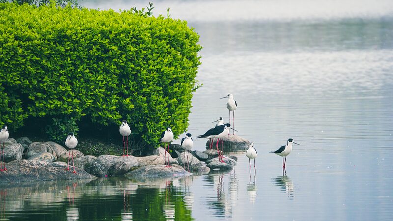 China_Unveils_Region_Specific_Eco_Plan__