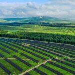 China_Unveils_Roadmap_for_Digital_Green_Economic_Transformation___