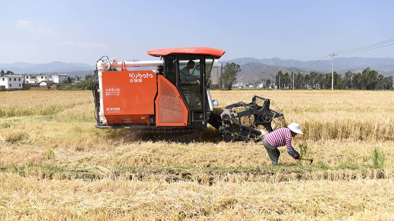 __China___Germany_Team_Up_to_Supercharge_Barley_Research_