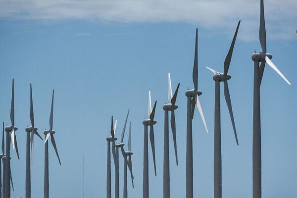 China & Latin America Team Up for a Sustainable Future ๐ฑ๐ง China___Latin_America_Team_Up_for_a_Sustainable_Future___