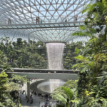 China___Singapore_Launch_Visa_Free_Travel___