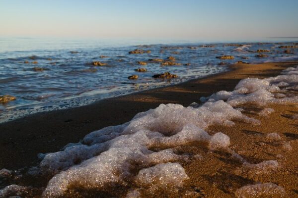 🌱 China & Uzbekistan Launch Aral Sea Green Innovation Expedition 🌊 __China___Uzbekistan_Launch_Aral_Sea_Green_Innovation_Expedition__