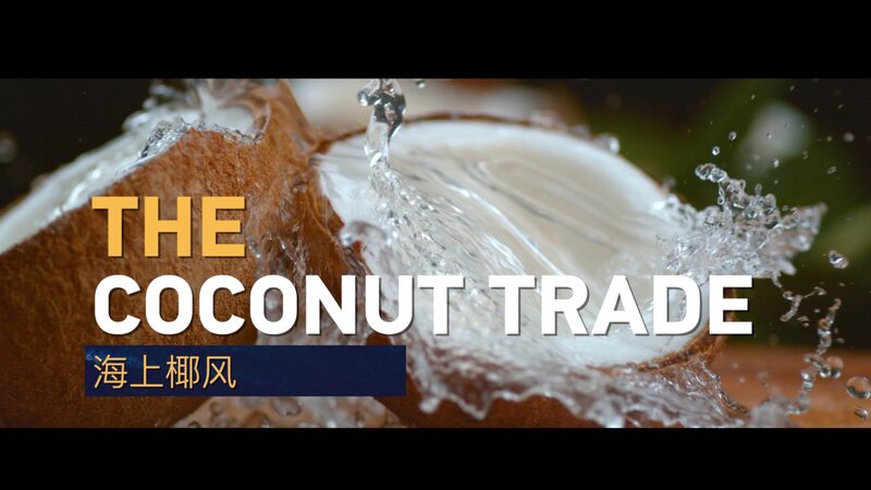 China___Vietnam_Crack_Open_a__1B_Coconut_Boom___ video poster