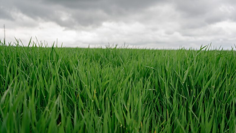 China_and_Romania_Seed_Future_with_Agri_Tech_Lab - 🌍NewspaperAmigo – Your Global News Buddy 🗞️ __China_and_Romania_Seed_Future_with_Agri_Tech_Lab