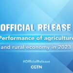 China_s_2023_Rural_Economy_Growth__Key_Takeaways___ video poster