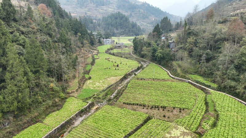China_s_2024_Blueprint_for_Rural_Revitalization_Unveiled__Top_10_Highlights___