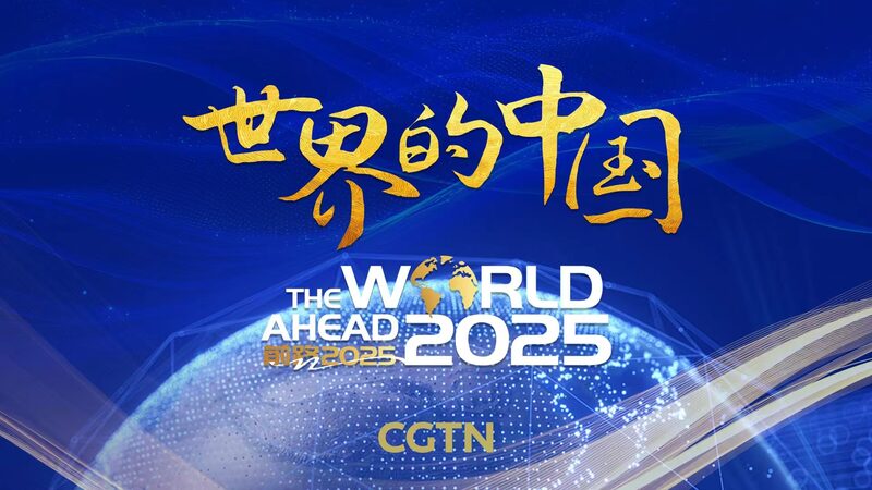 China_s_2024_Economy__Global_Experts_Weigh_In___
