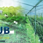 China_s_Agri_Revolution__Smart_Farms___New_Farmers___ video poster