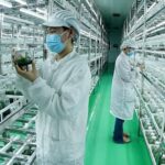 China_s_Agri_Tech_Revolution__No__1_Central_Doc_Fuels_Innovation___ video poster