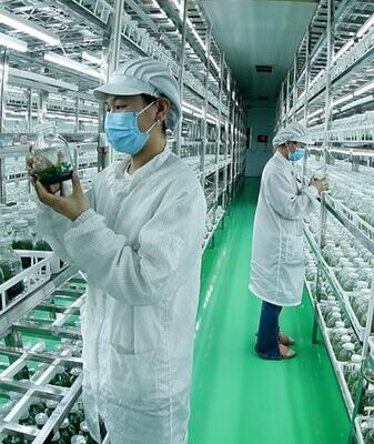 Chinaโs Agri-Tech Revolution: No. 1 Central Doc Fuels Innovation ๐พ๐ก China_s_Agri_Tech_Revolution__No__1_Central_Doc_Fuels_Innovation___ video poster