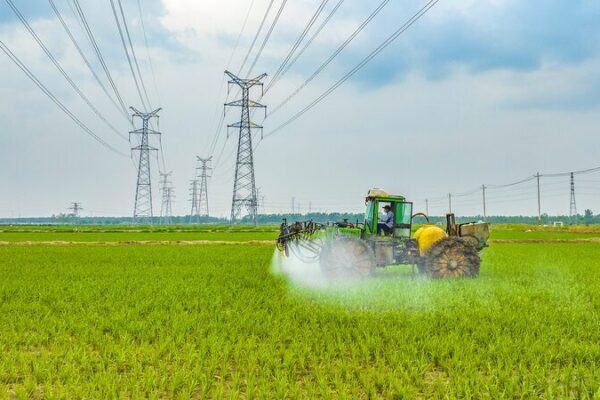 Chinaโs Autumn Grain Harvest Shows Steady Growth ๐พ๐ China_s_Autumn_Grain_Harvest_Shows_Steady_Growth___