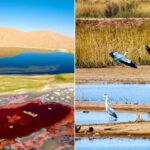 China_s_Badain_Jaran_Desert_Joins_UNESCO_Heritage_List____