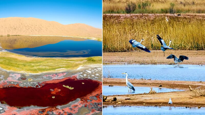 China_s_Badain_Jaran_Desert_Joins_UNESCO_Heritage_List____